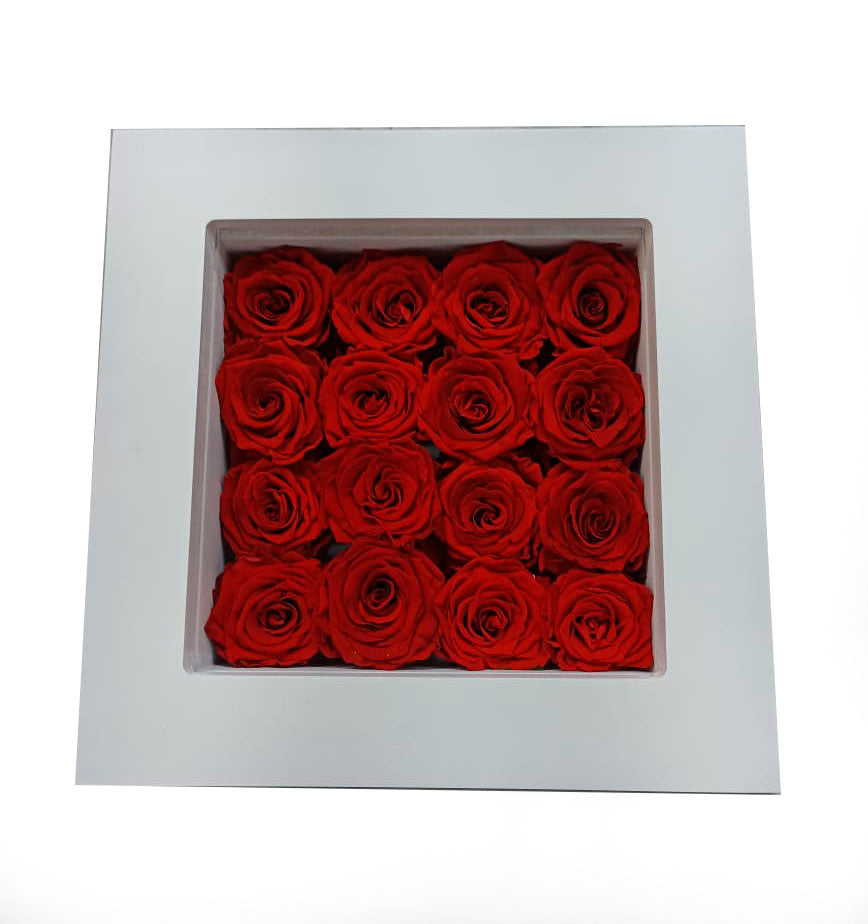 Wall Frame with Preserved Red Roses (White Frame)