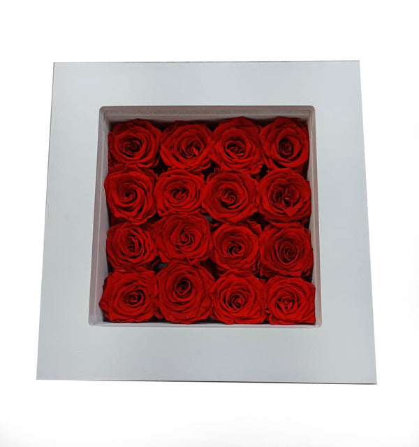 Wall Frame with Preserved Red Roses (White Frame)