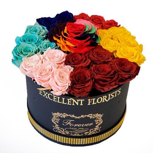 forever rainbow