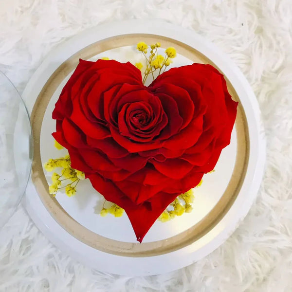 Masterclass: Curso Rosas Preservadas | Nivel Básico