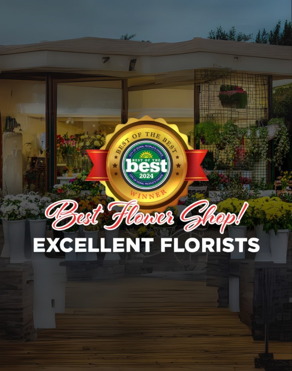 Excellent Florists: Reconocidos como la Mejor Floristería en Doral 2024