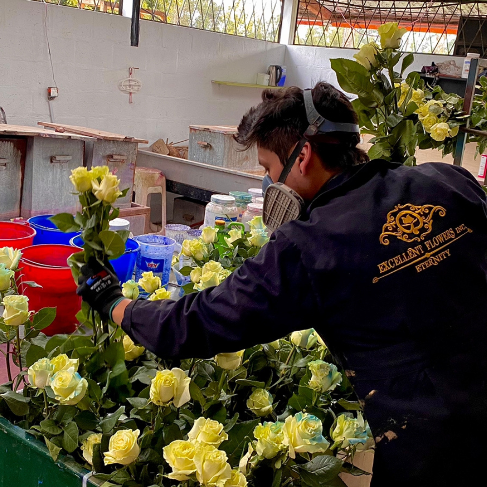 Curso de Flores Tinturadas por Absorción