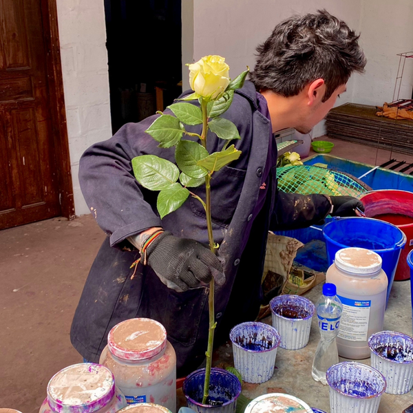 Curso de Flores Tinturadas por Absorción