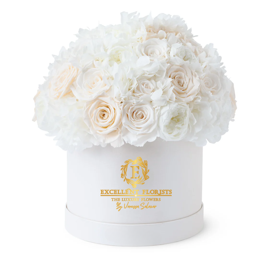 Box of Preserved White Roses and Hydrangeas – Pure Elegance