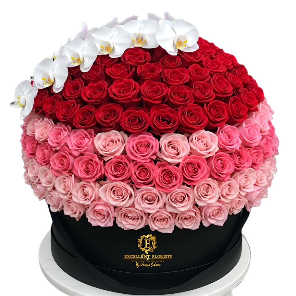 Gradient Love – Luxury Roses in Deluxe Box