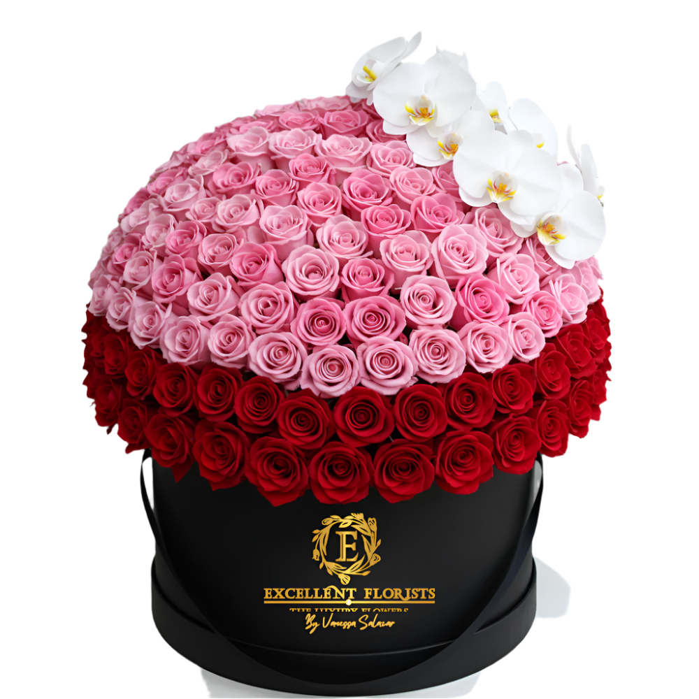 Gradient Love – Luxury Roses in Deluxe Box