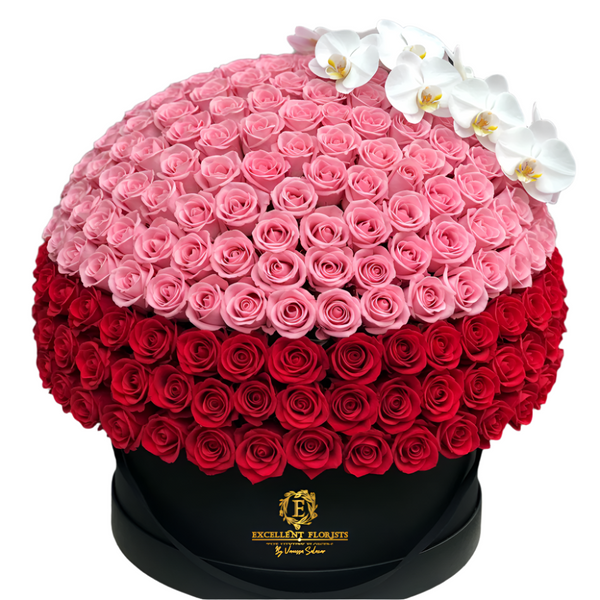 Gradient Love – Luxury Roses in Deluxe Box