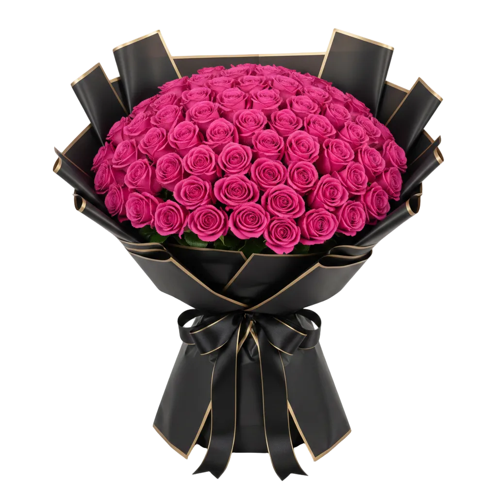 Bouquet of hot pink roses wrapped in black paper with a bow on a white background
