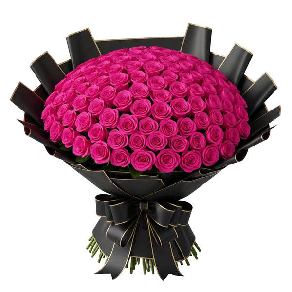 Bouquet of hot pink roses wrapped in black paper with a bow on a white background