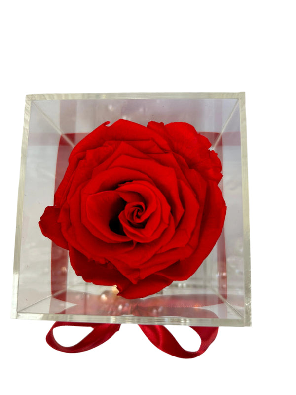 Acrylic Single Box | Red