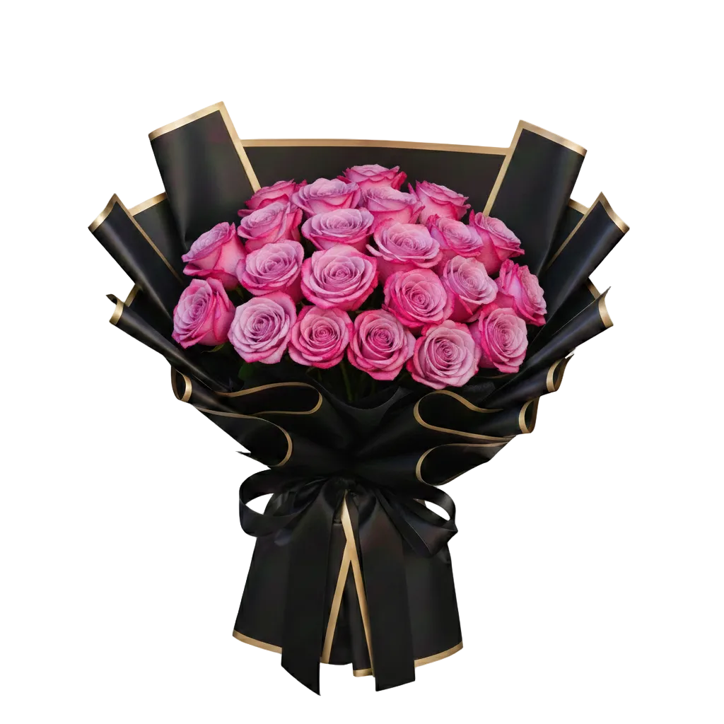 Bouquet of deep  purple roses wrapped in black paper with gold accents on a white background