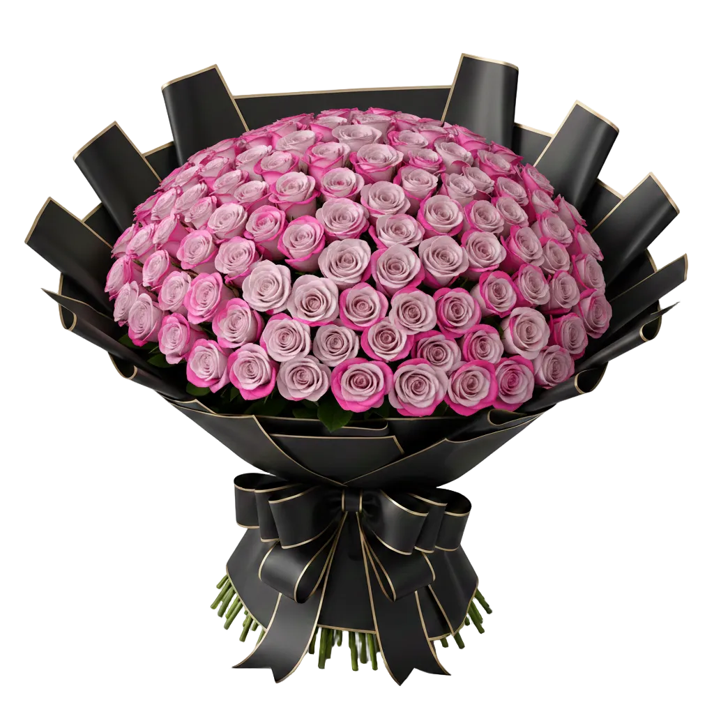Bouquet of deep purple roses wrapped in black paper with a bow on a white background