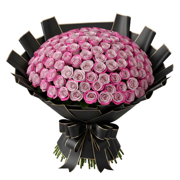 Bouquet of deep purple roses wrapped in black paper with a bow on a white background
