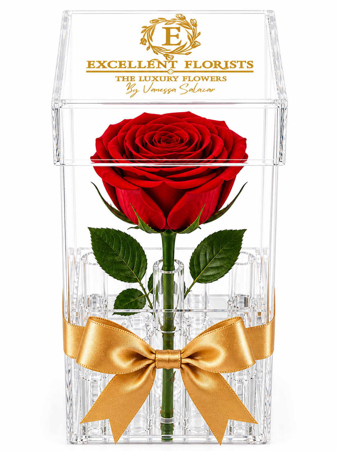 Masterclass: Rosas Preservadas | Experiencia Floral