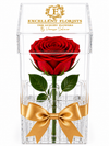 Masterclass: Rosas Preservadas | Experiencia Floral