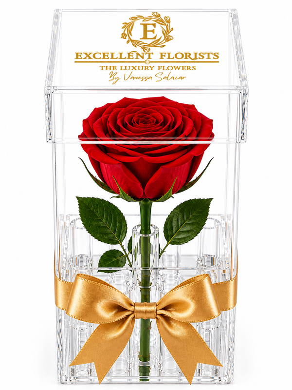 Masterclass: Rosas Preservadas | Experiencia Floral
