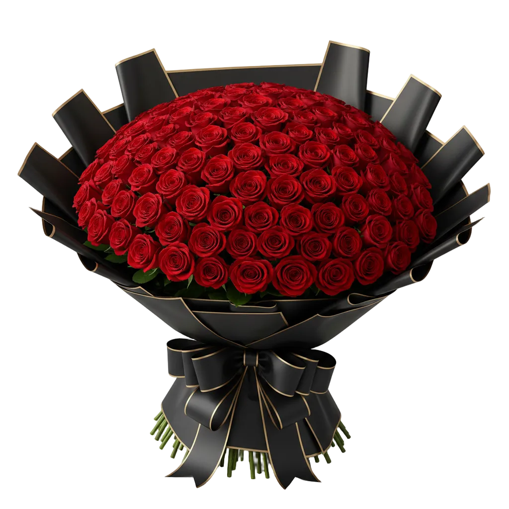 Bouquet of 200 red roses wrapped in black paper with a bow on a white background