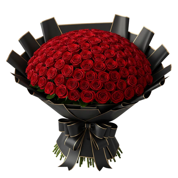 Bouquet of 200 red roses wrapped in black paper with a bow on a white background
