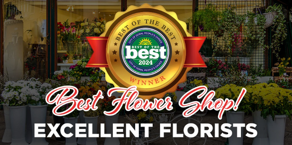 Excellent Florists: Reconocidos como la Mejor Floristería en Doral 2024