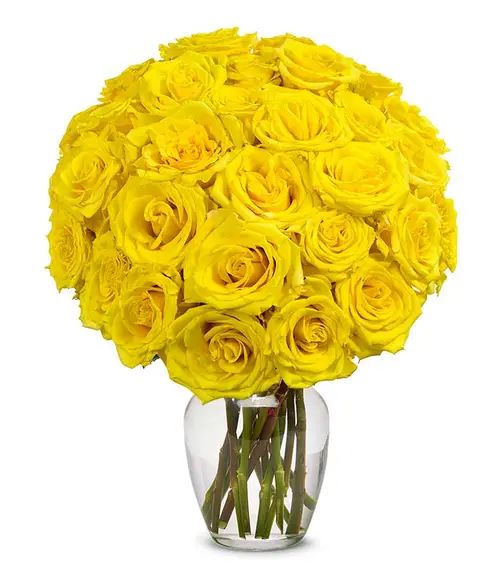 2 Dz. Yellow Roses in a Vase