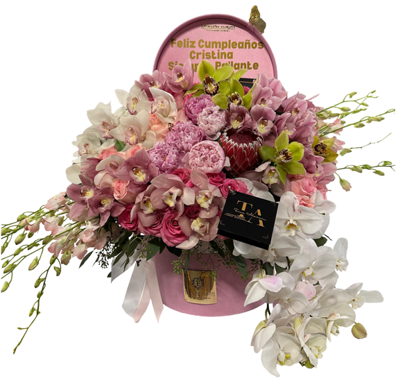 Exquisite Orchid Variety Box