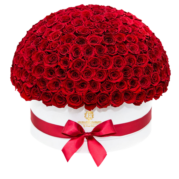 Box of Preserved Red Roses (200 Roses) - Exclusive Arrangement by Excellent Florists