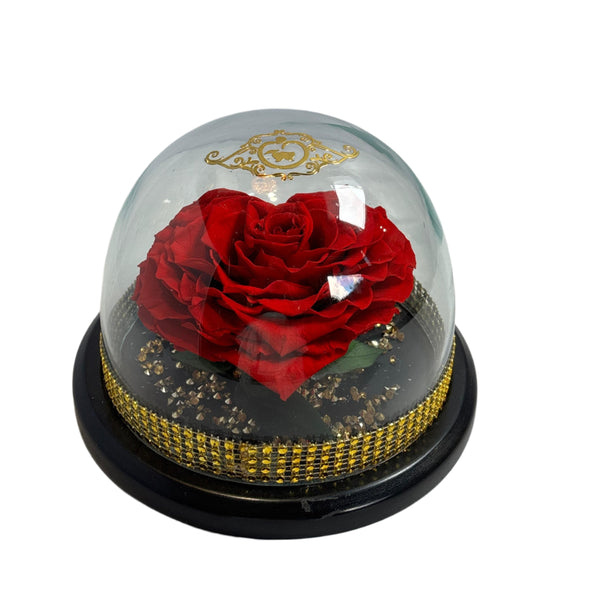 Enchanted Rose in Glass Dome with Golden Base – Timeless Luxury