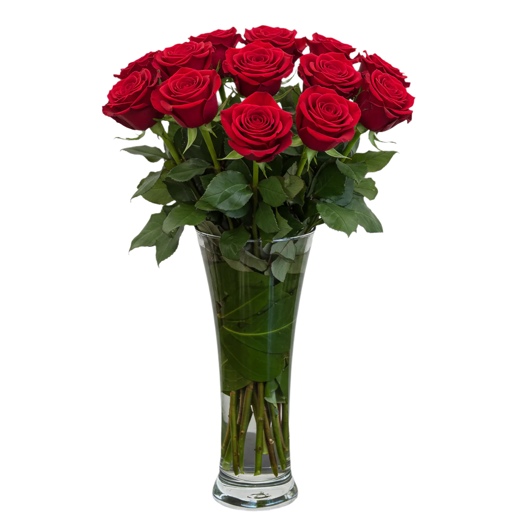 Red Roses Ecuador Eternal Red Roses | Ecuadorian Rose Arrangement | Excellent Florists