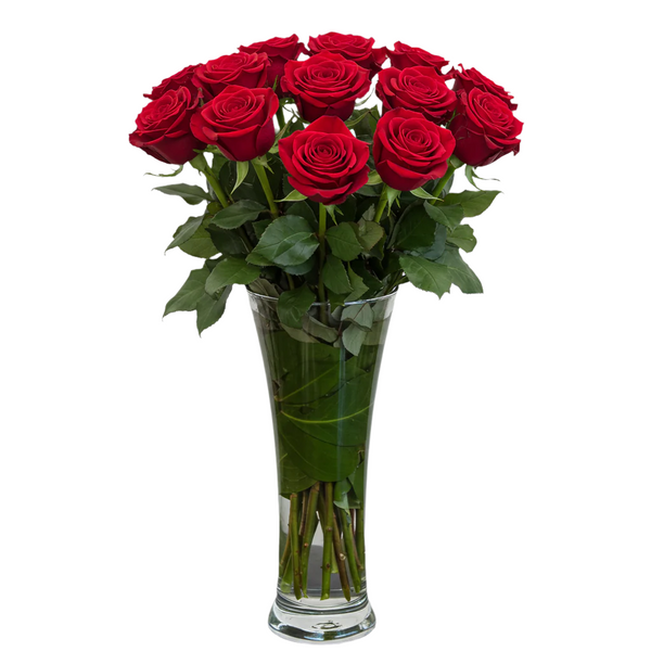 A dozen red Ecuadorian roses in a clear glass vase.