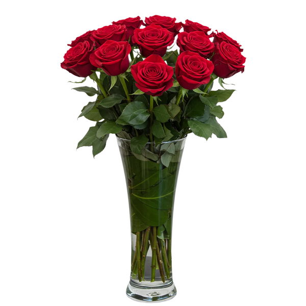 Luxury  Dozen Ecuadorian Roses