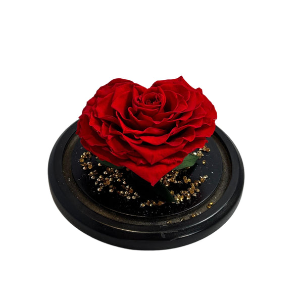 Enchanted Rose in Glass Dome with Golden Base – Timeless Luxury