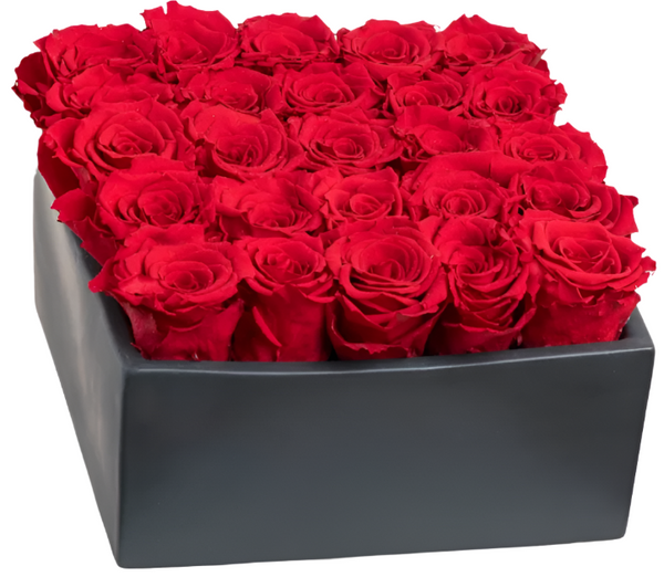 Caja de 25 Rosas Preservadas