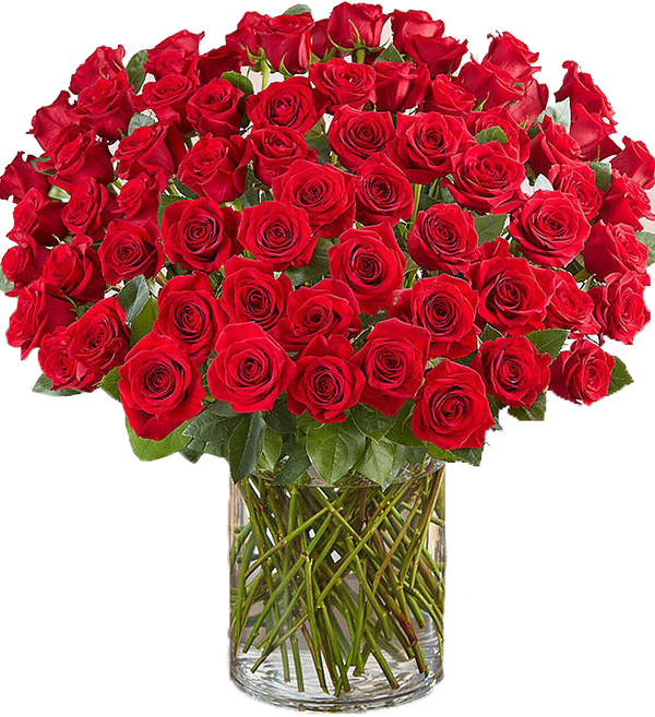 Premium Red Roses excellent florists Fresh and Preserved Flowers Excellent Florists
