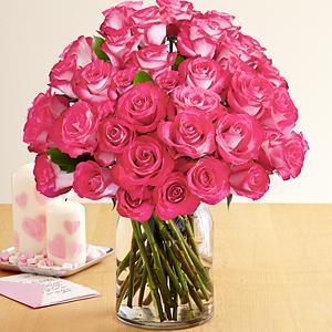 36 Pink Pearl Roses - Excellent Florists 