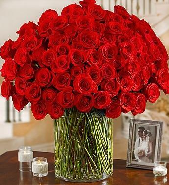 Love and Devotion (100 red roses) - Excellent Florists 