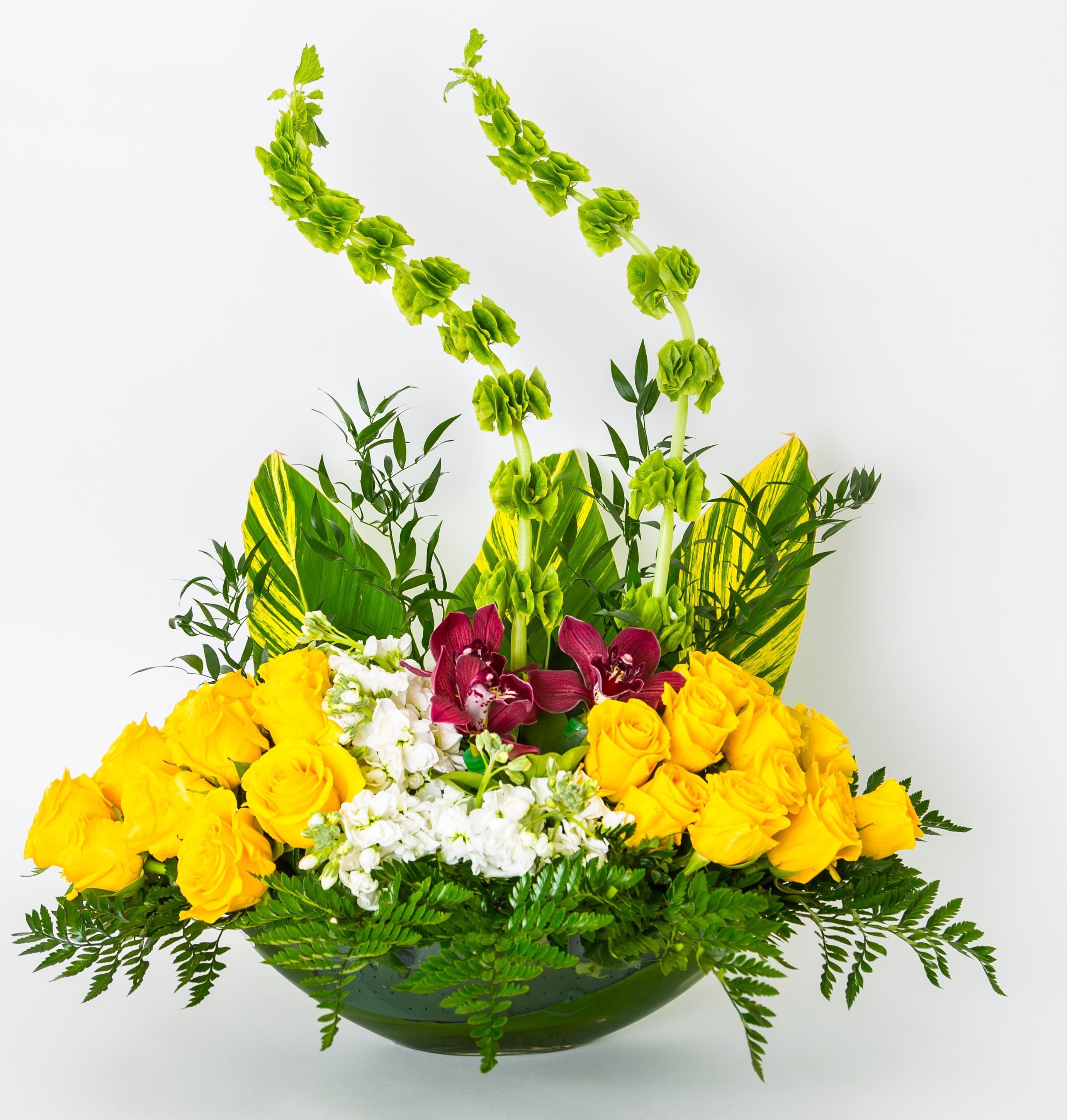 Orchids & Yellow Roses - Excellent Florists 