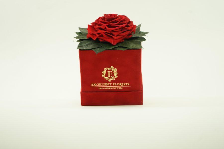 Red Heart Shape Preserved Rose ( Red Box ) - Excellent Florists 