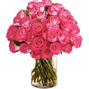 36 Pink Pearl Roses - Excellent Florists 