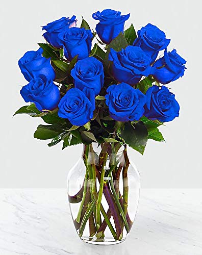 Two Dozen Blue Rose Arrangement in a vase