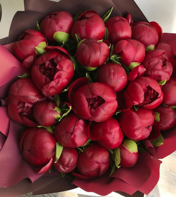 Red Peonies Bouquet
