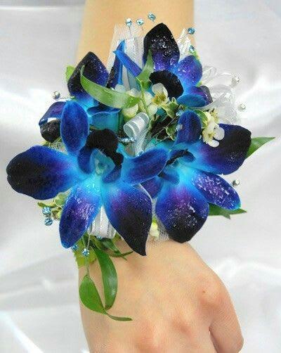 Blue Orchid - Excellent Florists 