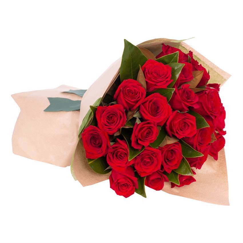 24 Red Roses  * Vase not included 95.99 USD