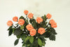Long Stem Coral Preserved Roses fresh Roses Excellent Florists