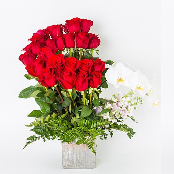 Red Beauty - Excellent Florists 
