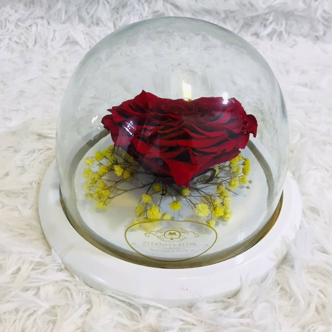 Preserved Heart Jumbo Red Rose in a Small Dome
