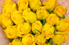 yellow roses miami