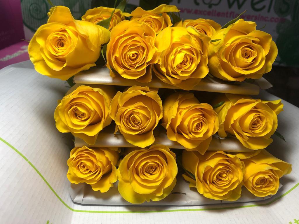 wholesale flowers miami