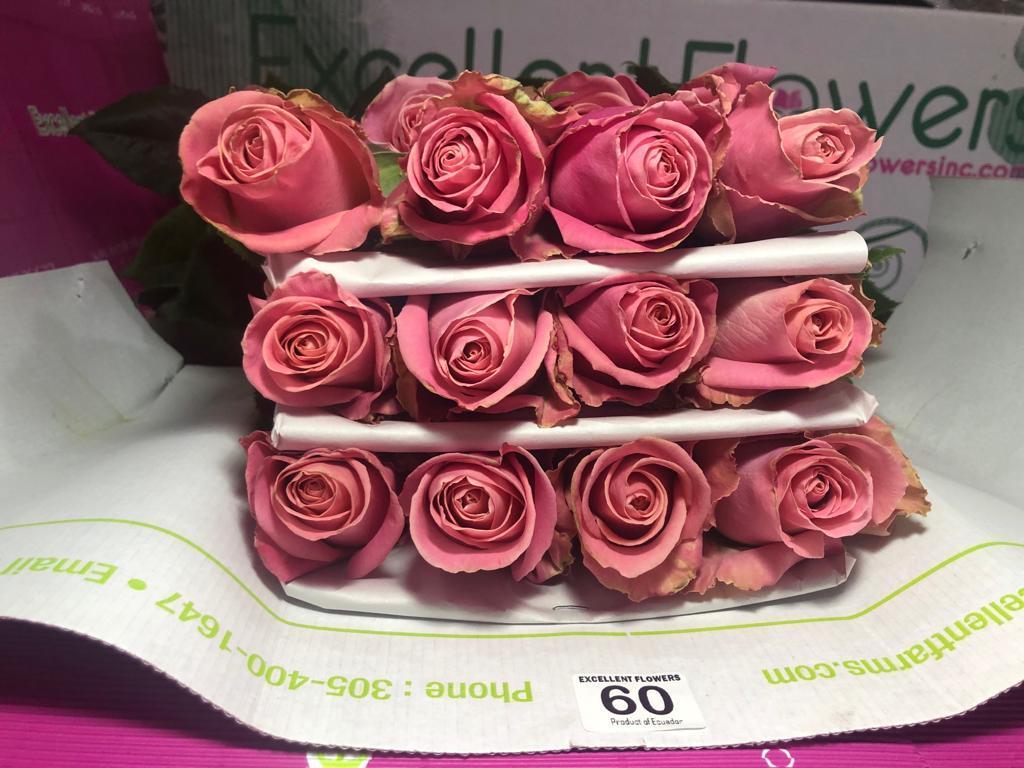 Hermosa rose bunches