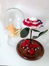 American Patriotic Preserved Jumbo Rose in a Dome The USA flag