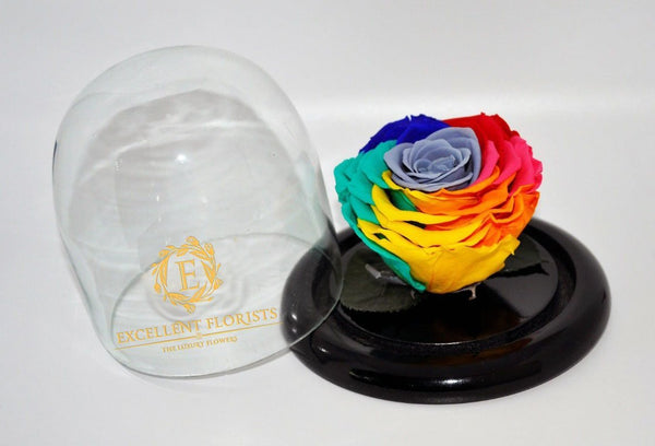 Preserved Multicolor Rose in a Medium Dome